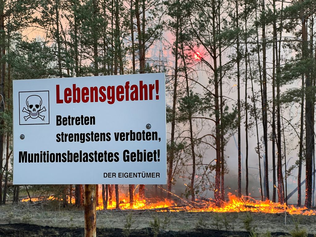 erdőtűz, erdő, tűz, Németország, Lübtheen, lángol, láng 