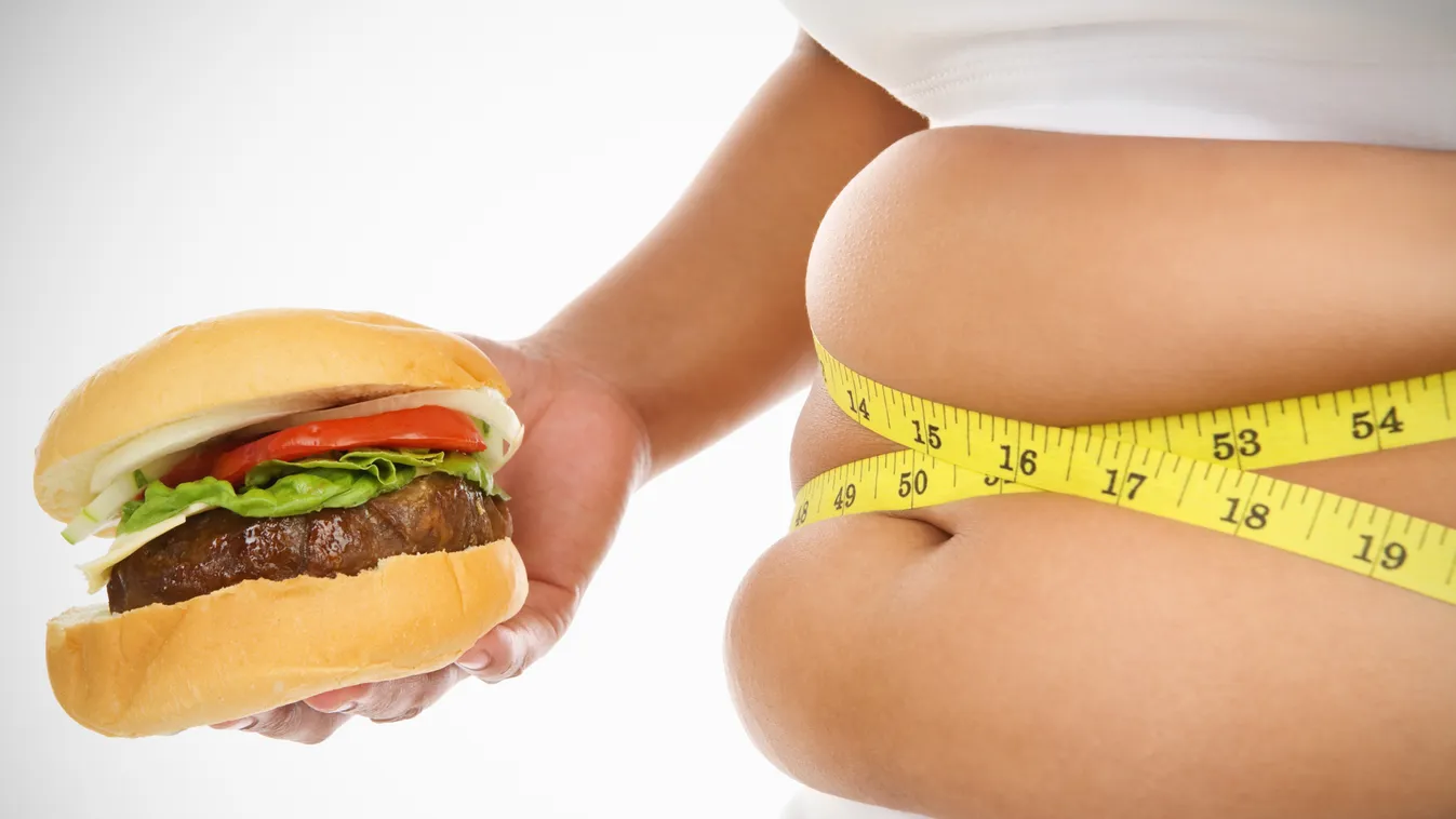 Ez zsír! Hosszú távú változást szeretnél? A BikiniBody dietetikusának tippjei! gyorsétel fast food hamburger elhízás kövérség háj 