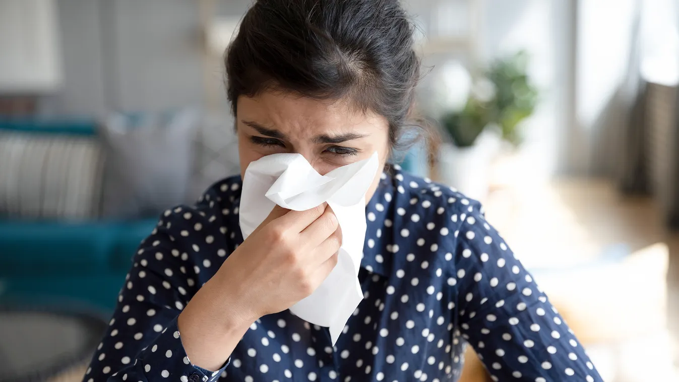 Allergia-kisokos: minden, amit feltétlenül tudnod kell, ha allergiától szenvedsz 