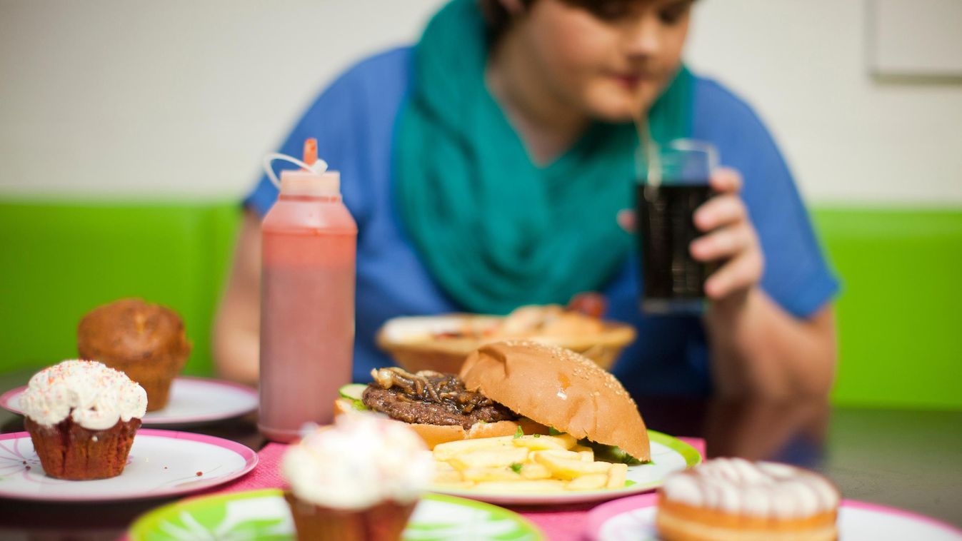 Dr. Life, Már az enyhe túlsúly is veszélyes lehet súlyfölösleg kövér evés étel hízlal 