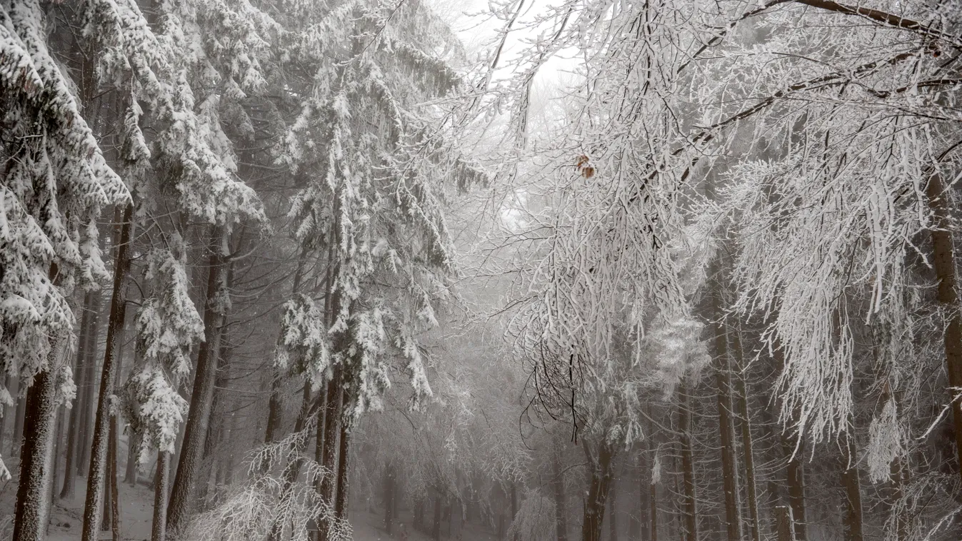 ÉVSZAK FOTÓ FOTÓTÉMA havas IDŐJÁRÁS KÖZLEKEDÉSI LÉTESÍTMÉNY Mátra tájkép tél út 