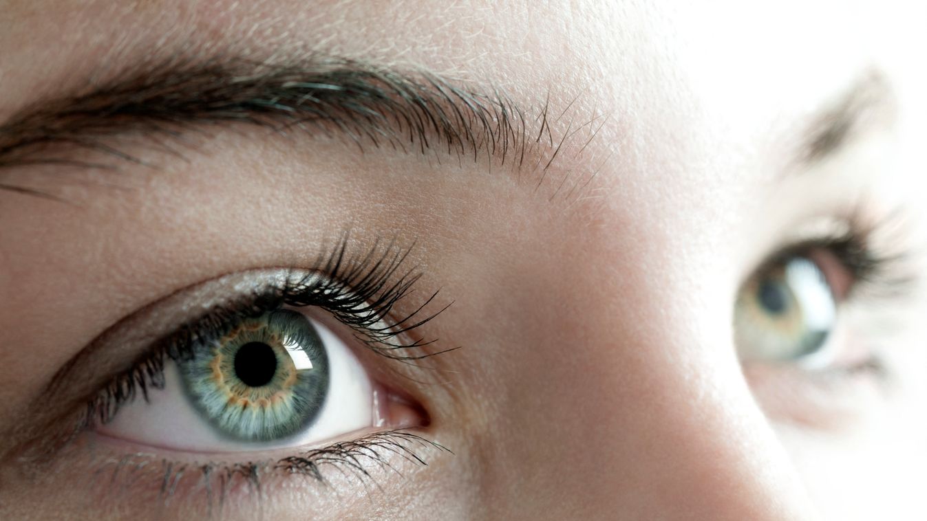 Woman's eyes STUDIO SHOT WHITE BACKGROUND CLOSE UP FULL FRAME PART OF THE BODY HUMAN BODY PART INTERIOR TOP SECTION FACE ONE PERSON ONE PERSON ONLY YOUNG ADULT YOUNG WOMEN WOMEN ONLY 20-24 YEARS CAUCASIAN APPEARANCE EYELASH HUMAN FACE HUMAN EYE BLUE GREEN