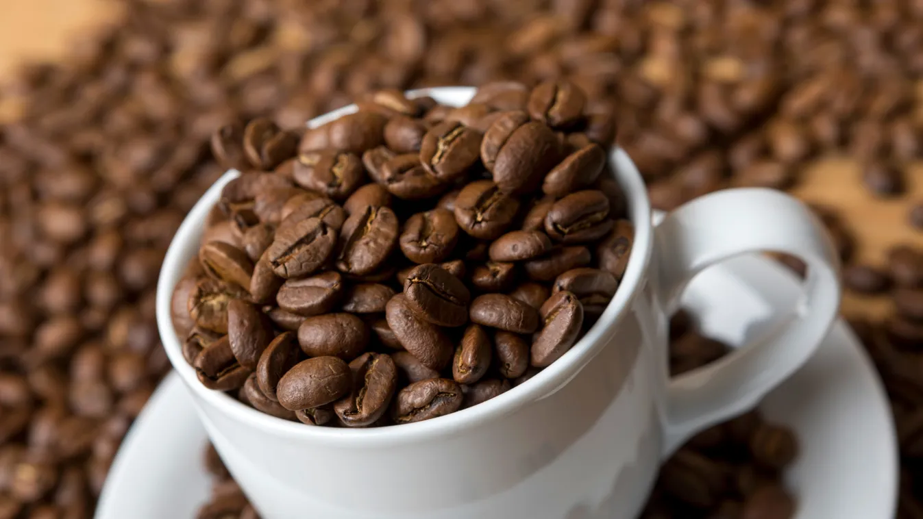 kakaó, kávé, tea, fair trade 