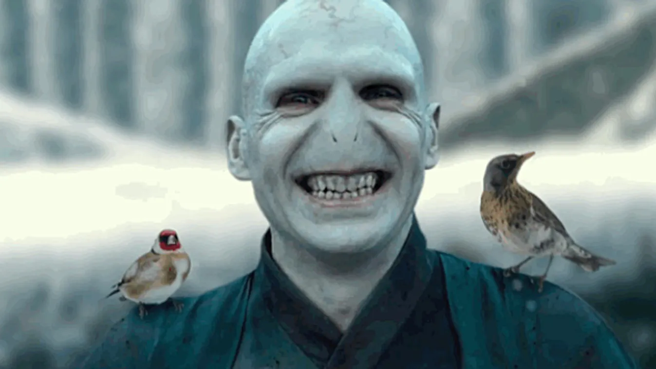 Voldemort, Emma Watson 