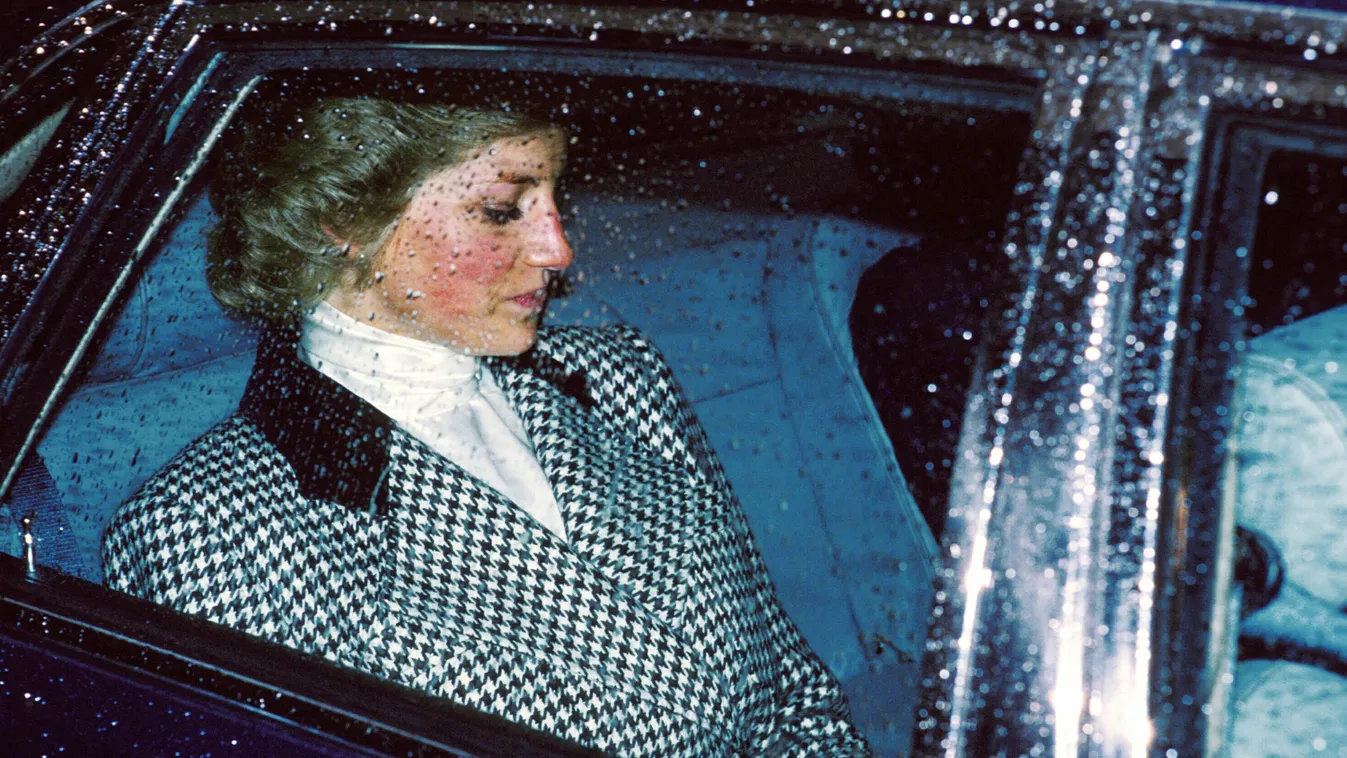 Diana walesi hercegné, Lady Diana, 1988 