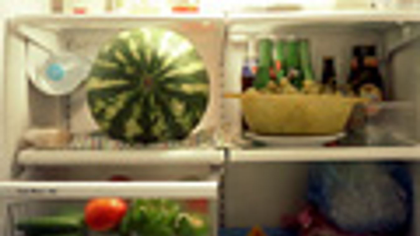 hűtőszekrény, fridzsider