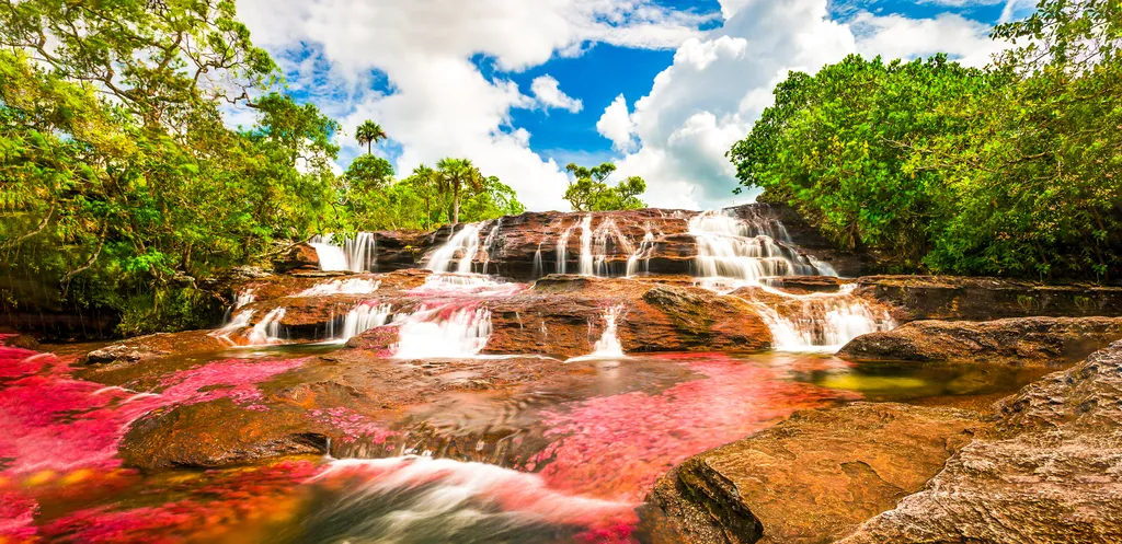 Cano Cristales Kristály folyó Kolumbia 