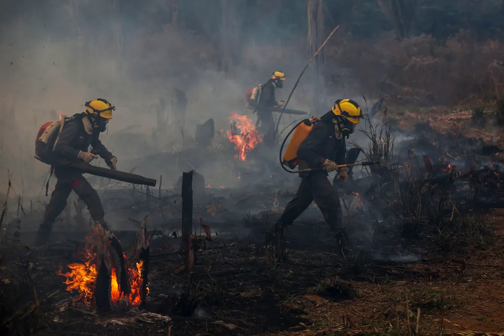 Tűz az Amazonas őserdőben fire environment Horizontal 