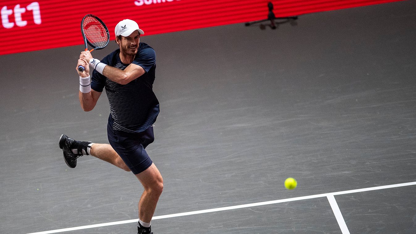 Tennis: ATP Tour Sports TENNIS ATP Tour Cologne (ATP) bed1hulks Andy Murray 