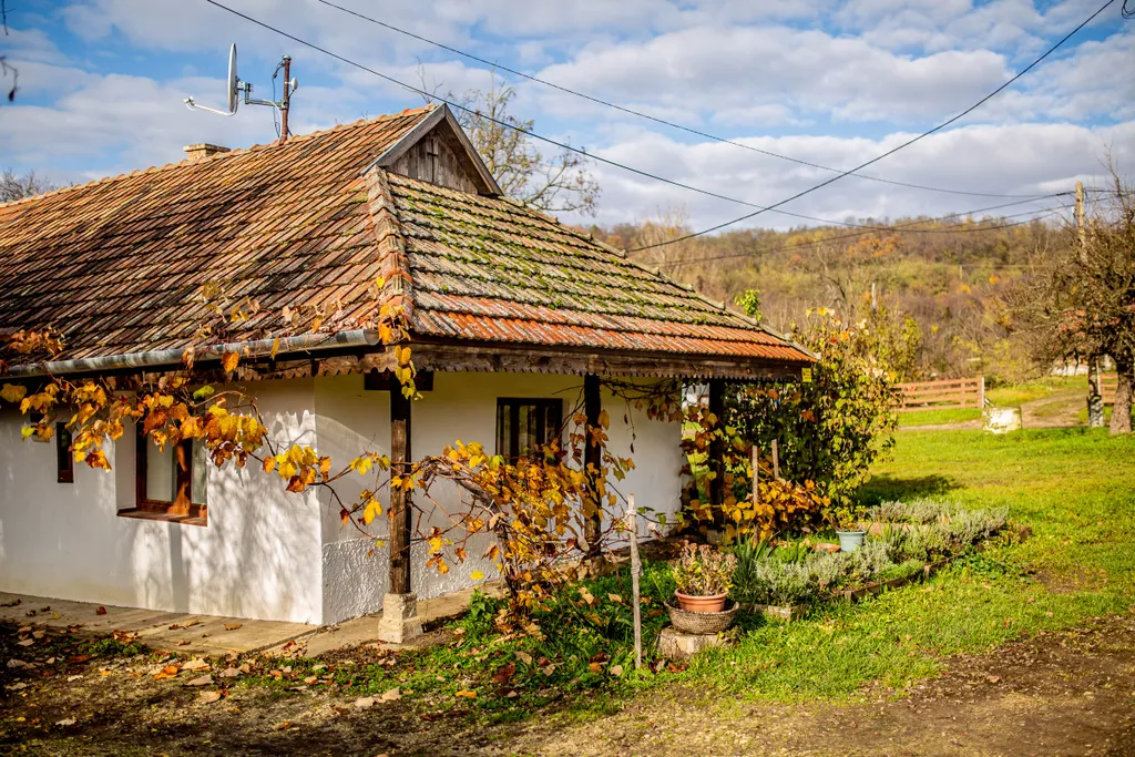 Zempléni-hegység túra 