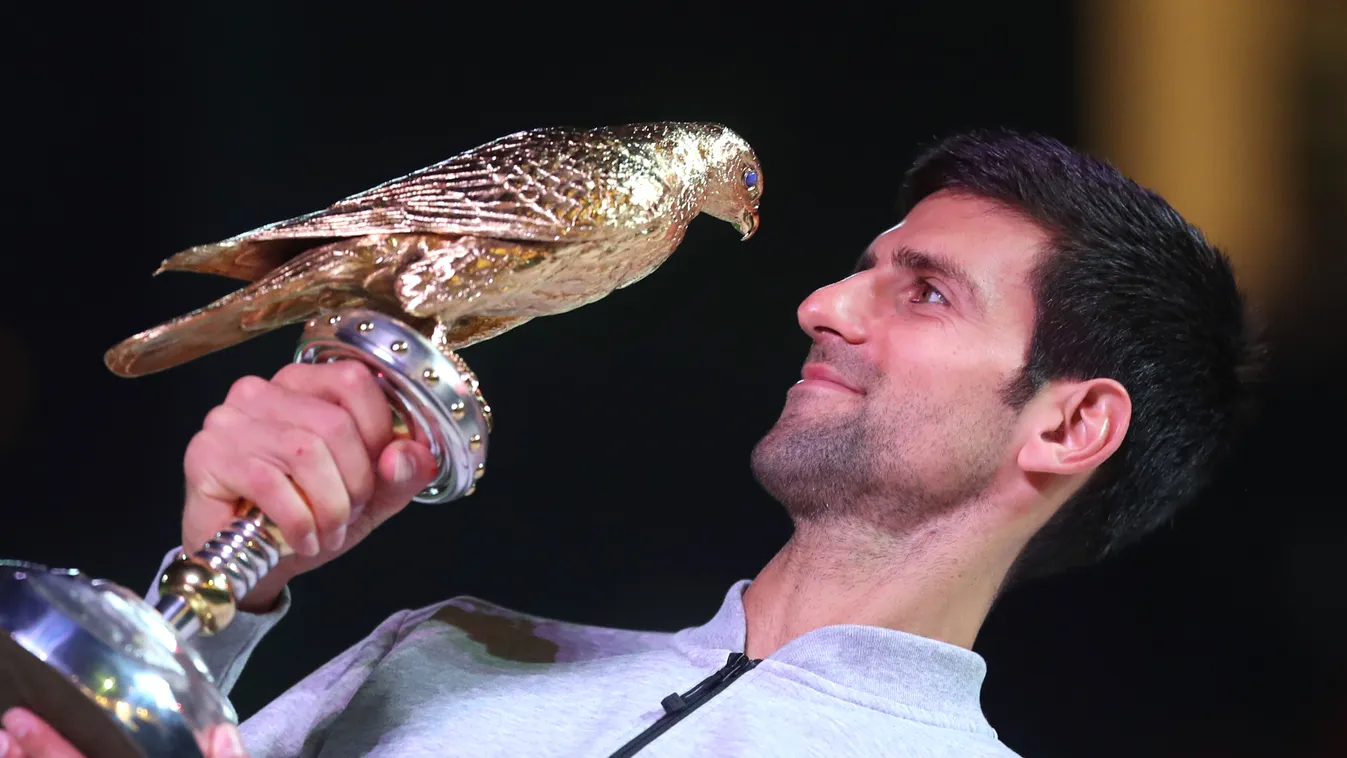 Novak Djokovic, tenisz 
