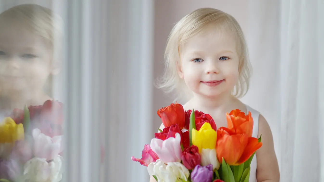 anyák napja galéria 2021.05.02. 
 
 Adorable,Smiling,Toddler,Girl,With,Tulips,By,The,Window beauty,caucasian,hold,red,spring,beautiful,mother,toddler,white, 