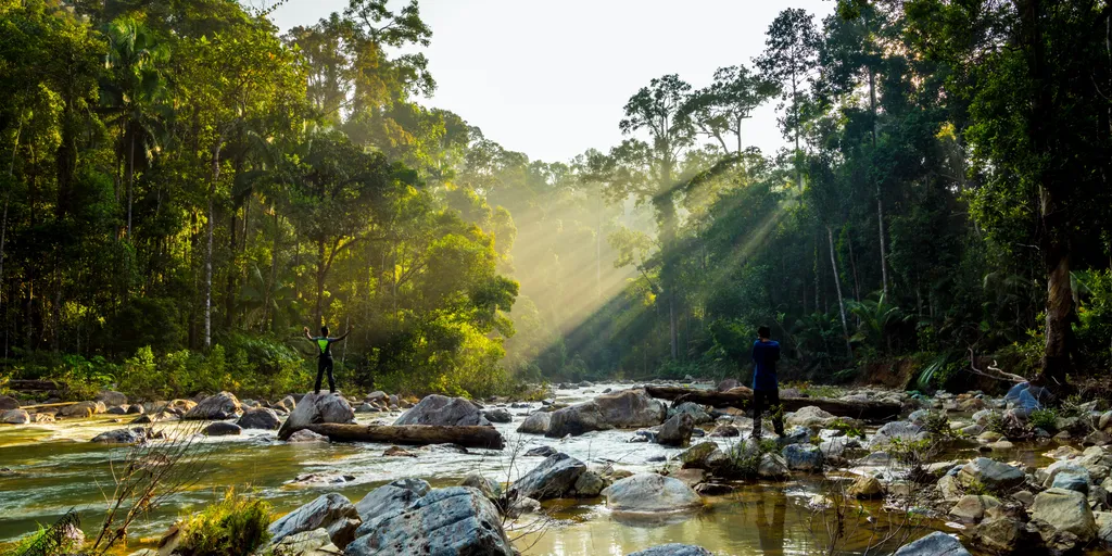 Taman Negara, nemzeti park, Malajzia-félsziget, Malajzia, Taman Negara összterülete 4343 km2, Lombhullató esőerdő, több mint 130 millió éves 