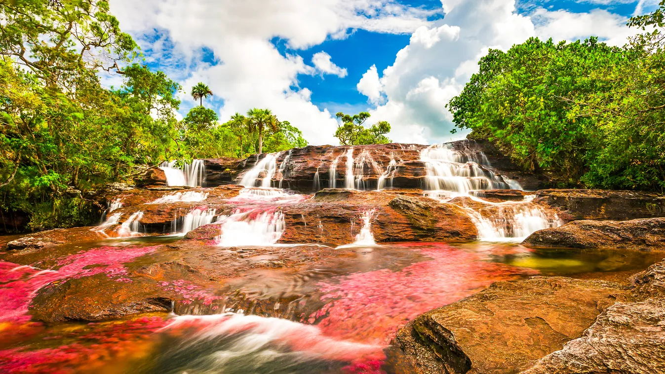 Cano Cristales Kristály folyó Kolumbia 