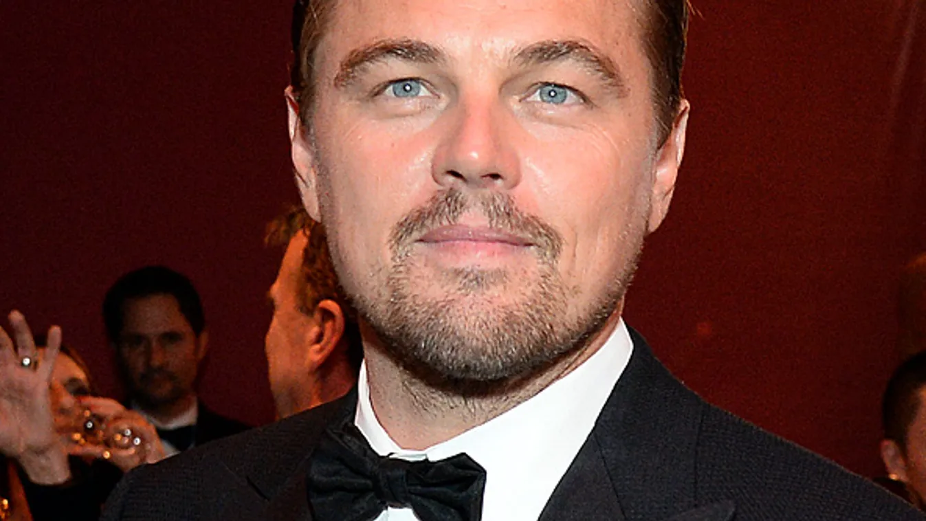 Leonardo DiCaprio 