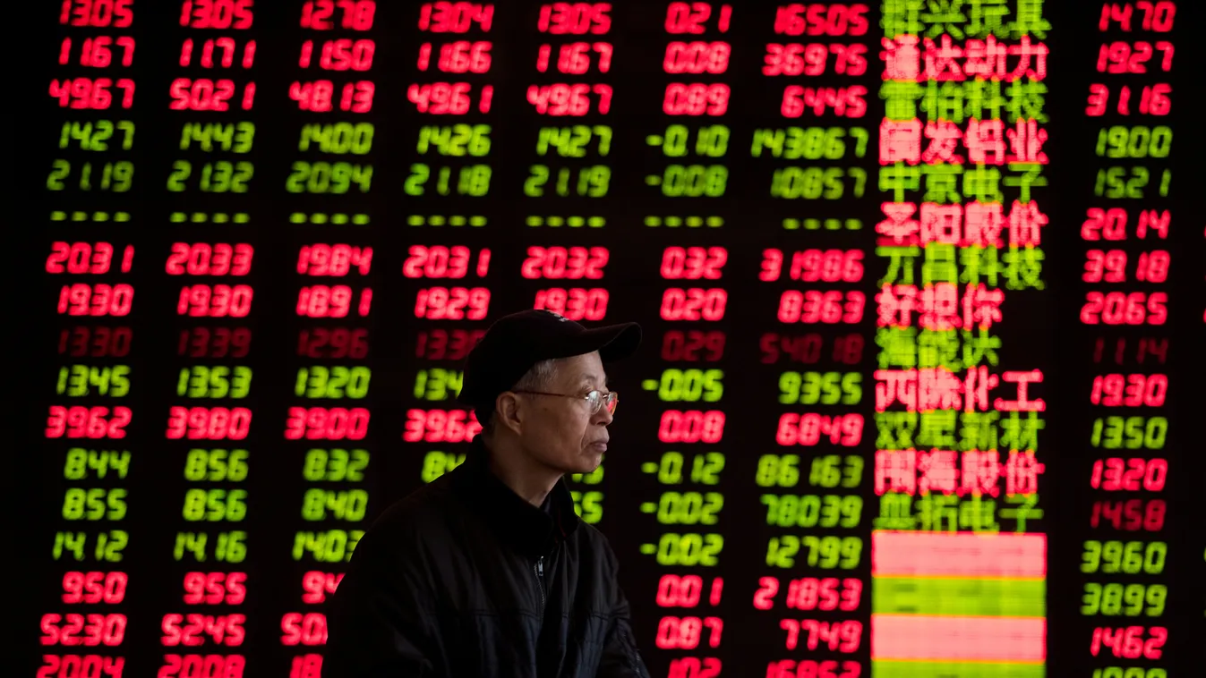 An investor looks at stock informations at a trading hall of a securities firm in Shanghai on January 28, 2014. Chinese shares ended lower on worries over market liquidity, dealers said.  AFP PHOTO / JOHANNES EISELE 