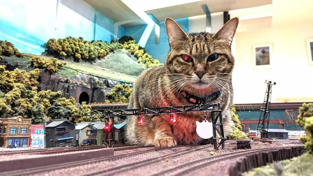 Kóbor macskák mentették meg ezt a japán dioráma éttermet a járvány idején a megszűnéstől, galéria, 2022 