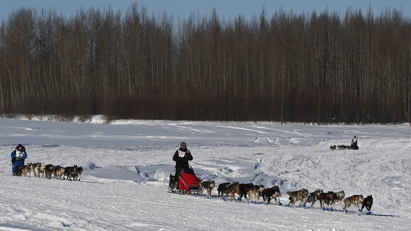 Willow, 2021. március 8.
Jessie Holmes a Susitna folyónál jár csapatával Cindy Gallea és Rick Casillo előtt az Iditarod amerikai kutyaszánverseny rajtja után, 2021. március 7-én az alaszkai Willowtól északra.
MTI/AP/Anchorage Daily News/Bill Roth 