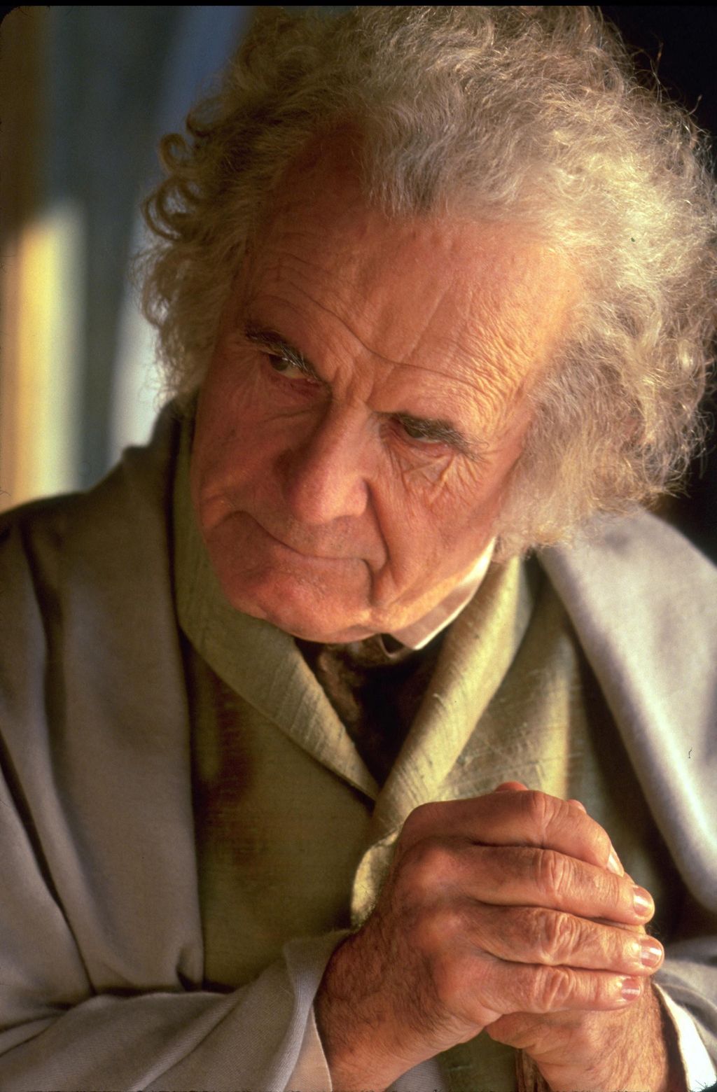 The Lord of the Rings : The Fellowship of the Ring Cinema fantasy hobbit bilbo Tolkien Vertical MAN PORTRAIT 