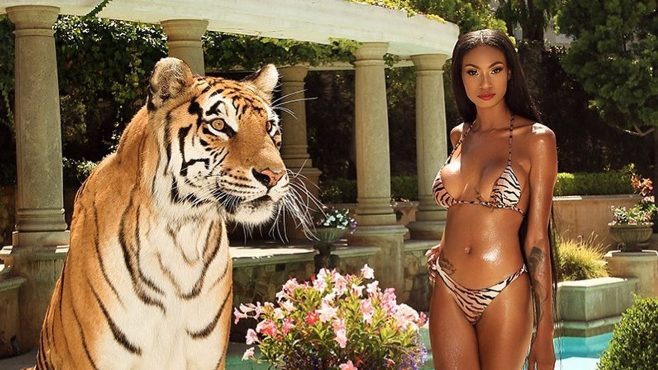 Linda Steadman és egy tigris 