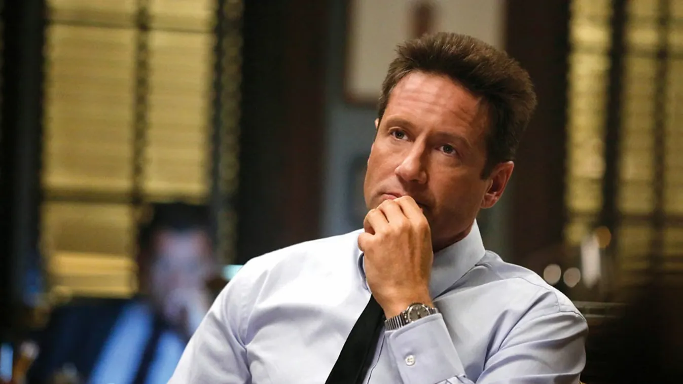 David Duchovny Aquarius 