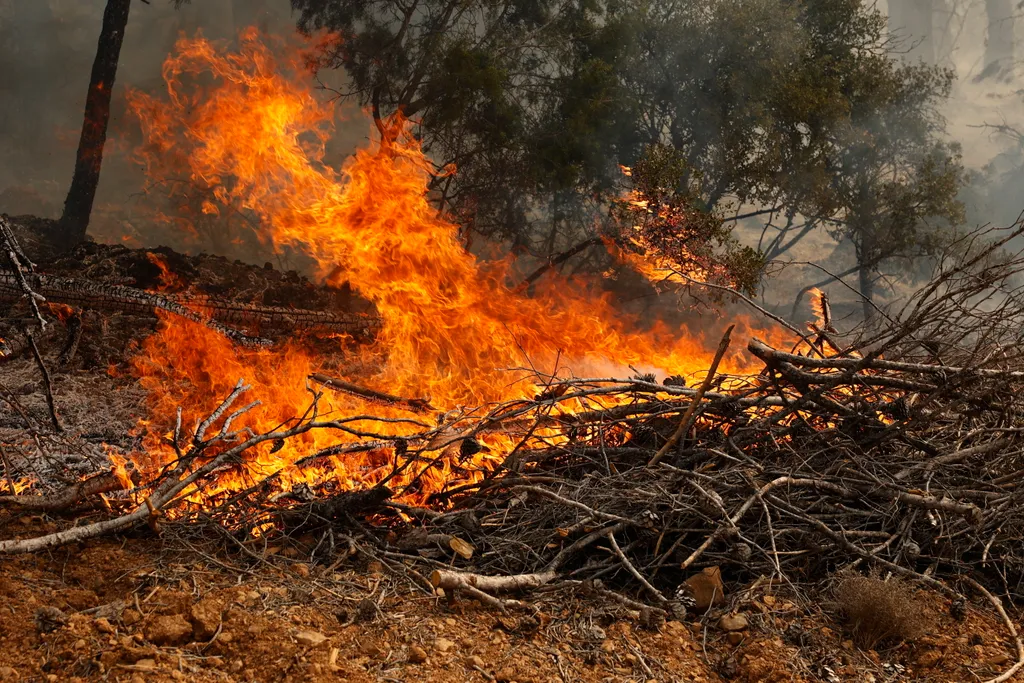Erdőtűz Spanyolország, erdő, tűz 