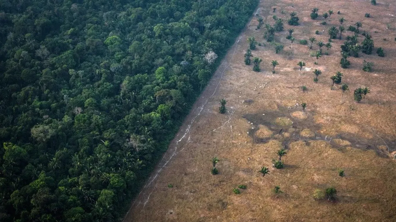 erdőirtás, Rondonia Állam, Amazonas 