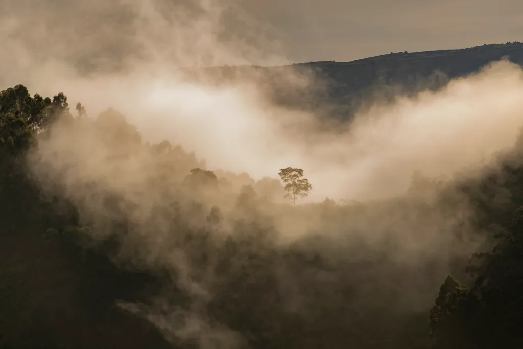 Bwindi Nemzeti Park, Kelet-Afrika, Uganda, Bwindi Áthatolhatatlan Nemzeti Park,  Afrika egyik leggazdagabb ökoszisztémája, galéria, 2023 