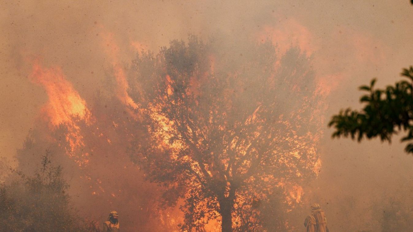 fiA tűzoltók az észak-spanyolországi Zamora melletti Pumarejo de Teraban  erdőtűz helyszínén dolgoznak, ahol  szélsőséges hőhullám sújtotta az országot, 43 fokos csúcsokkal 