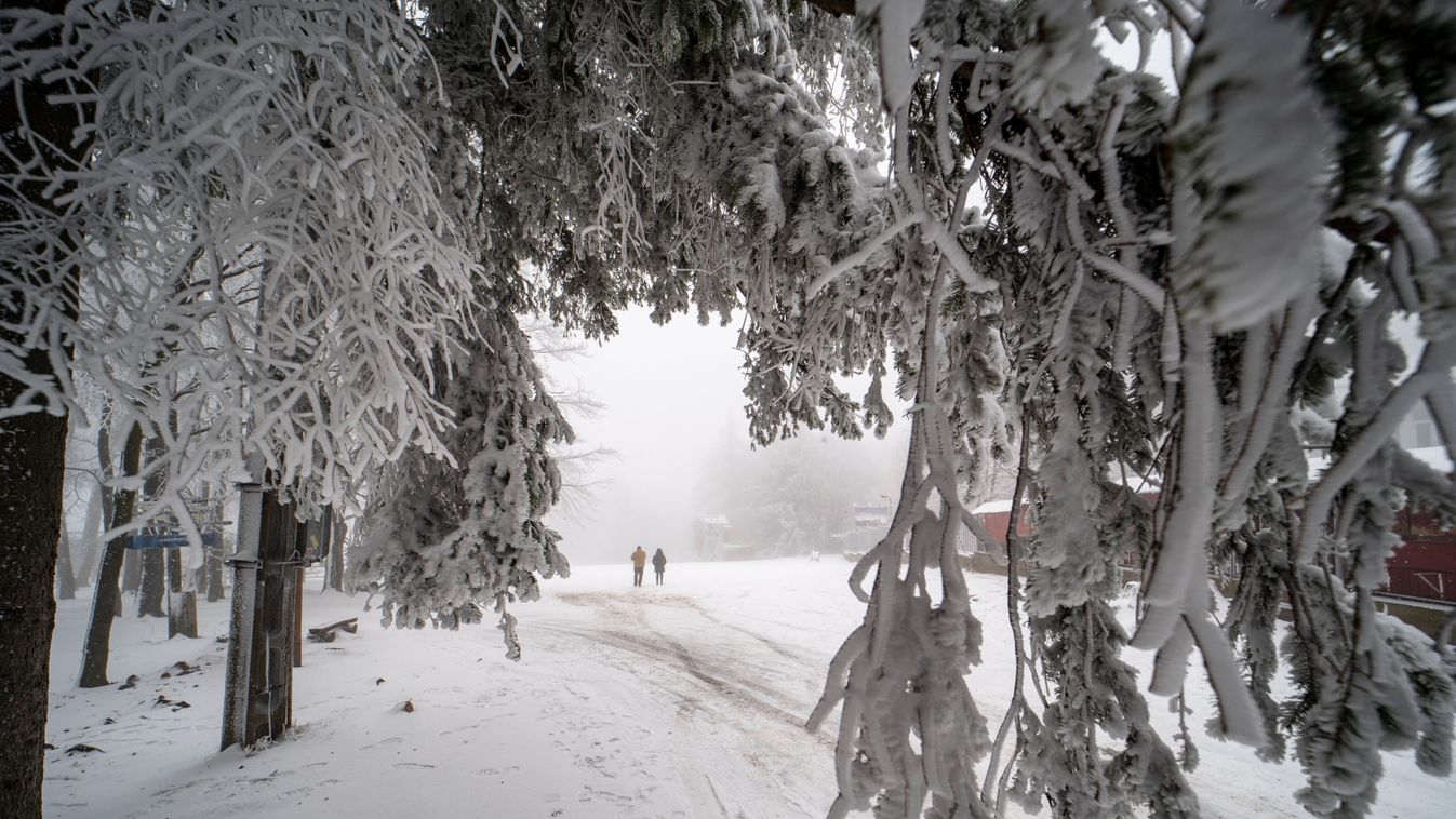 ÉVSZAK fa FOTÓ FOTÓTÉMA havas IDŐJÁRÁS Mátra NÖVÉNY tájkép tél 