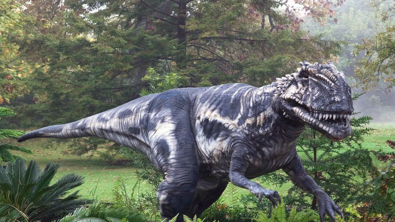 Megalosaurus 