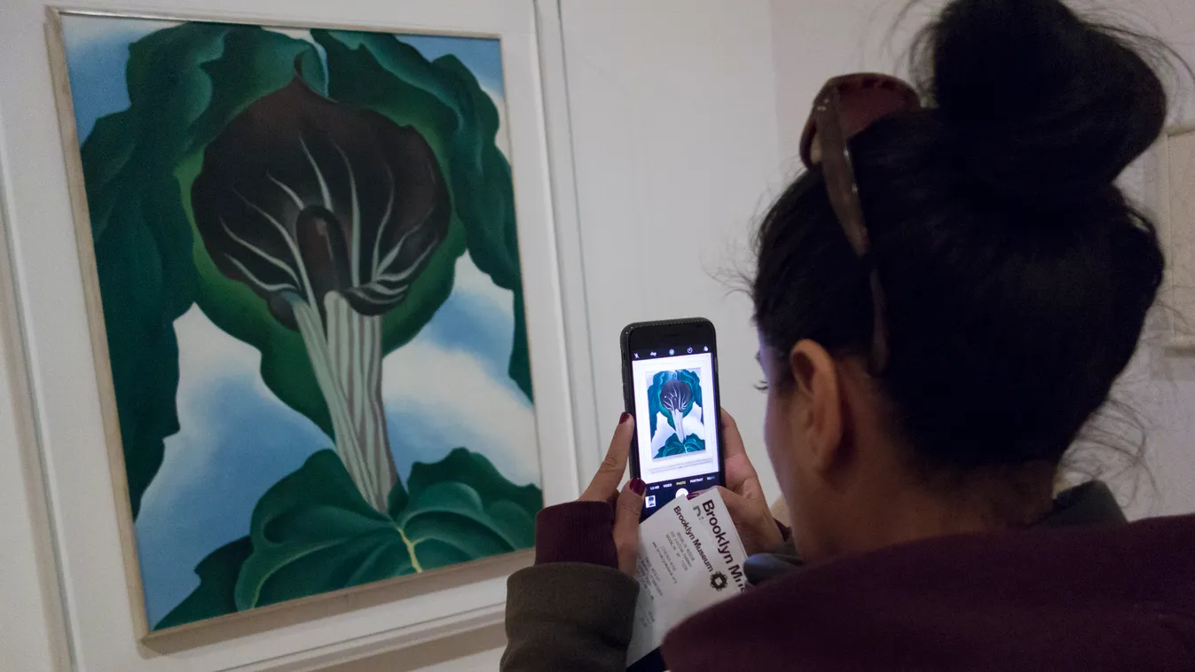 Expositon Georgia O'Keeffe, une artiste qui soignait son image avant l'heure Horizontal ART 