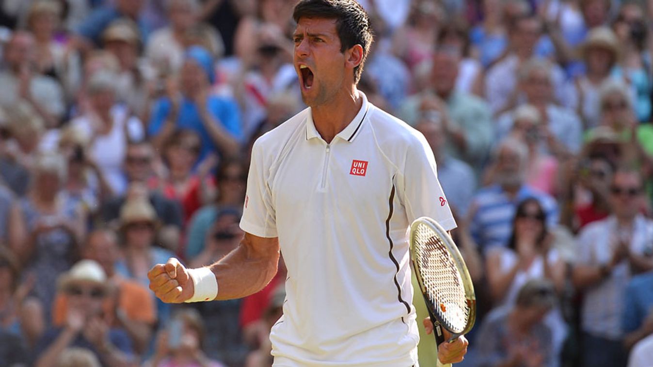 Novak Djokovic, tenisz