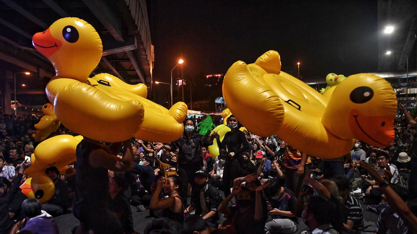 Horizontal DEMONSTRATION POLITICAL CRISIS BOUEE DUCK SYMBOL INFLATABLE OBJECT DEMONSTRATOR CROWD 
