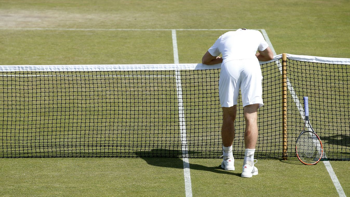 Andy Murray, tenisz, Wimbledon 