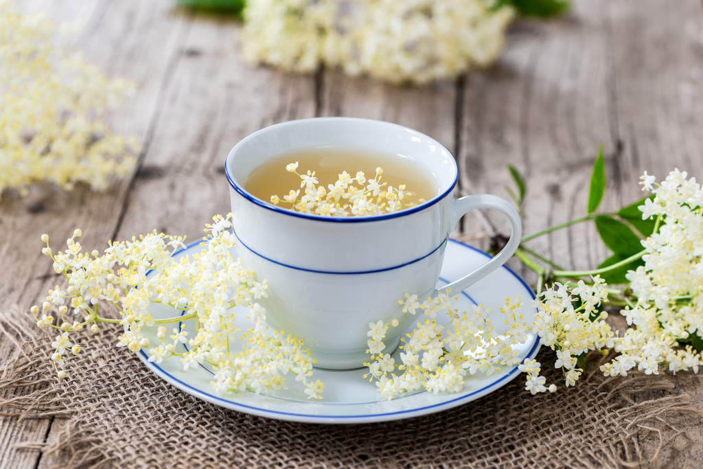 bodza tea Gyógyteák, amik nyáron is jólesnek és jót tesznek 