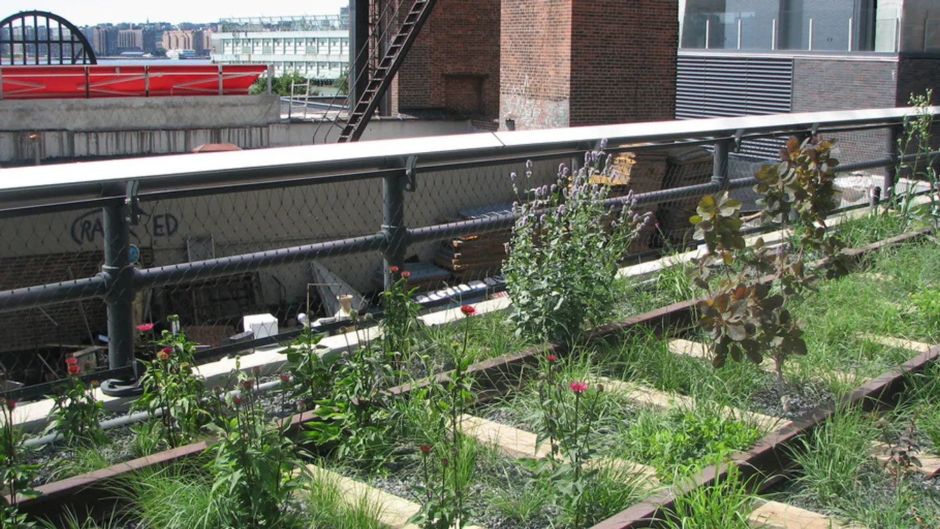 High Line Park, New York, park a magasvasút helyén 