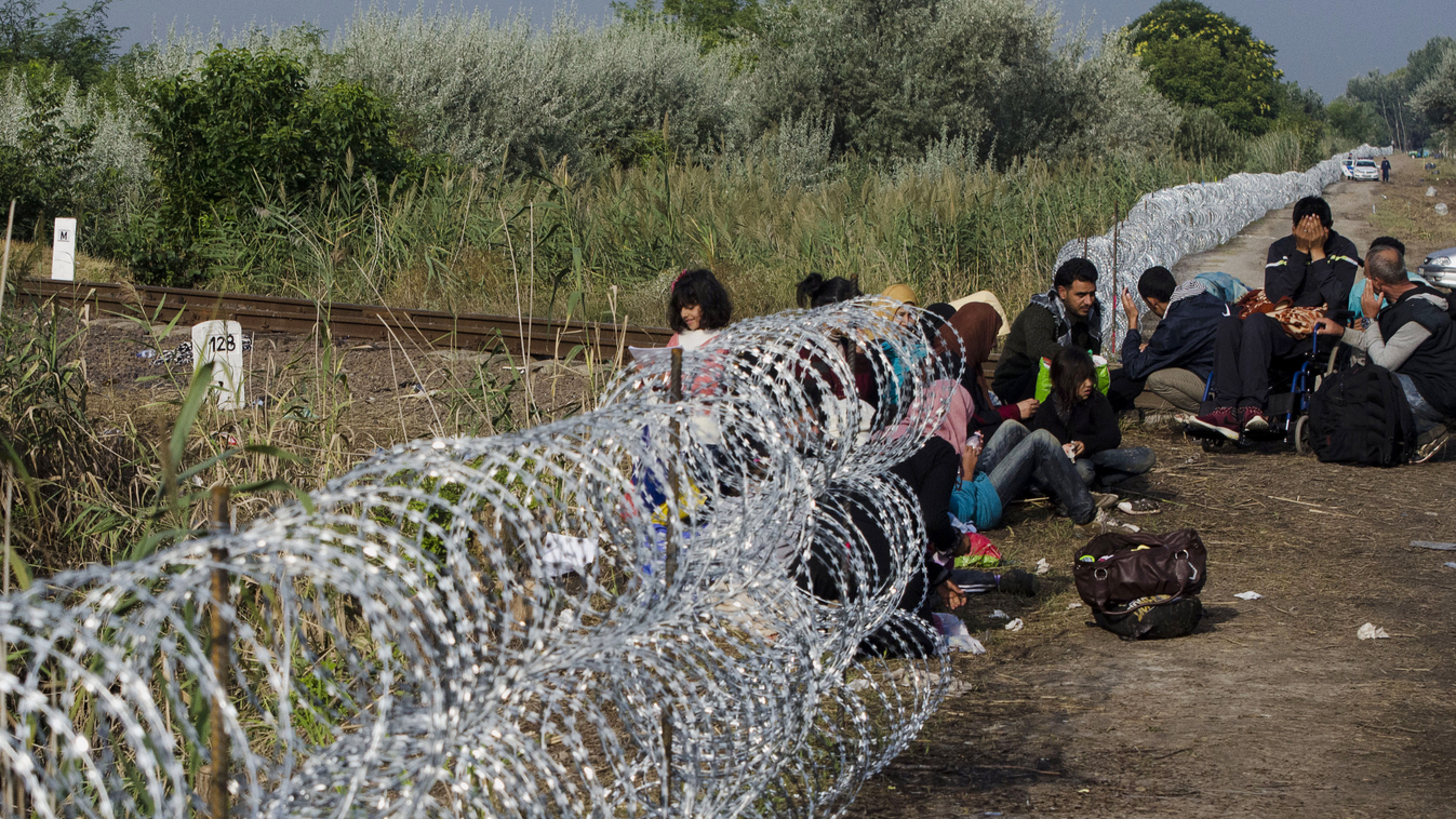 illegális határátlépők, magyar-szerb határ 