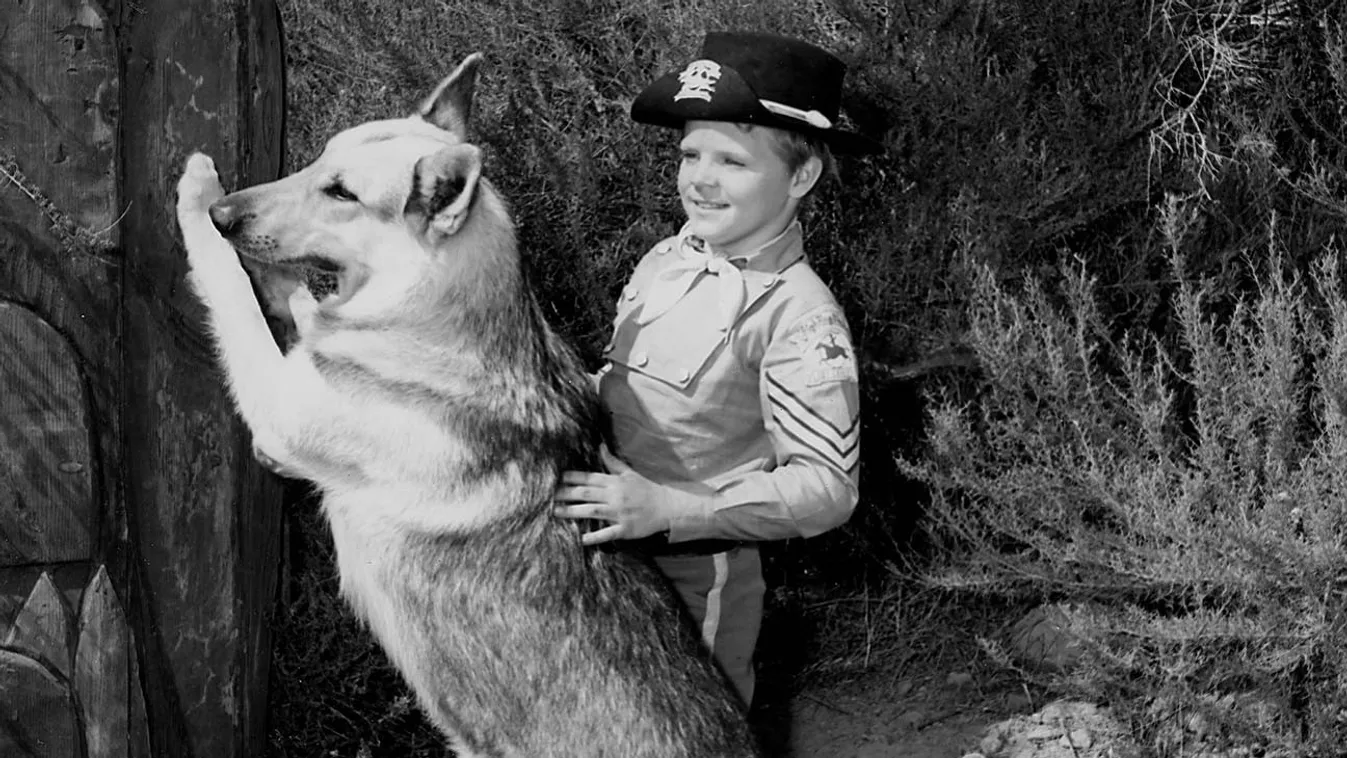 Rin Tin Tin kalandjai, Lee Aaker 