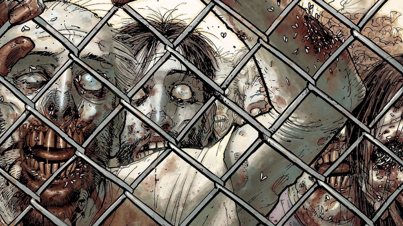 The Walking Dead képregény, Image Comics 