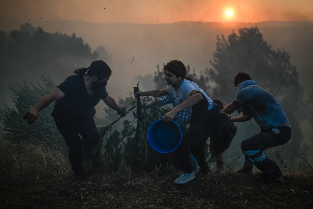 tűz, erdőtűz, bozóttűz, szárazság, nyár, hőség, Földközi-tenger, térség, Portugália 