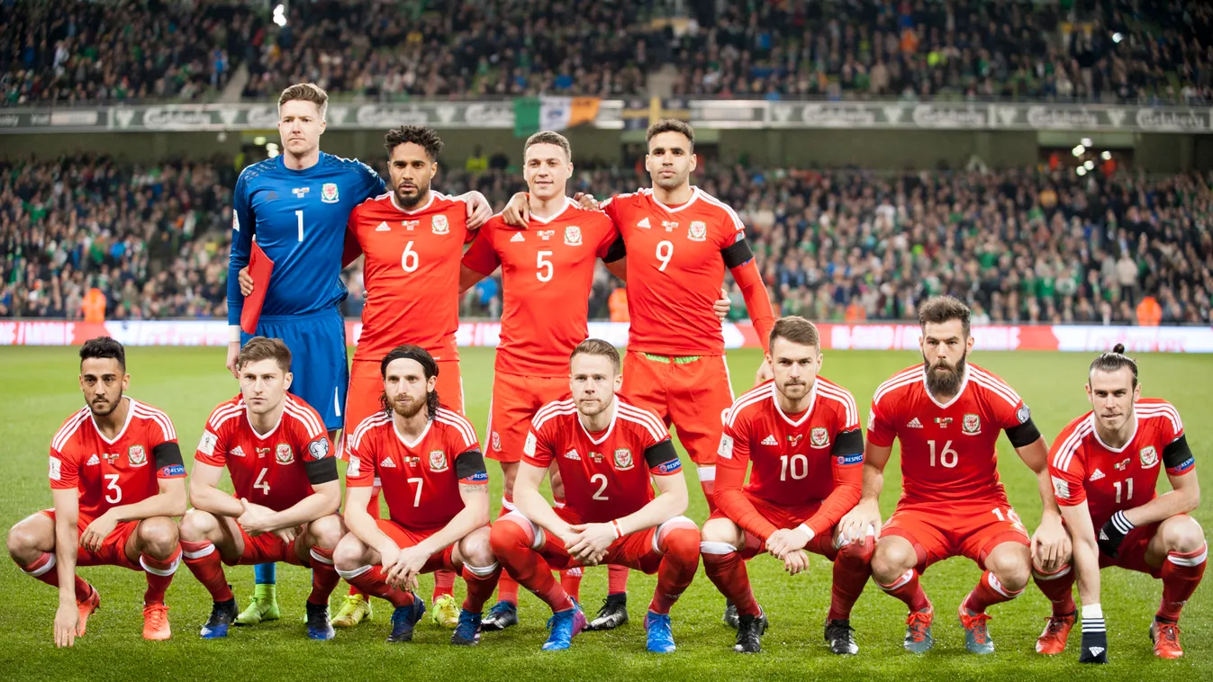 Republic of Ireland v Wales - FIFA 2018 World Cup Qualifier Wales Ireland Applauding Aviva Stadium Dublin - Republic of Ireland FIFA World Cup 2018 Incidental People International Team Soccer National Team One Person People Photography Qualification Round
