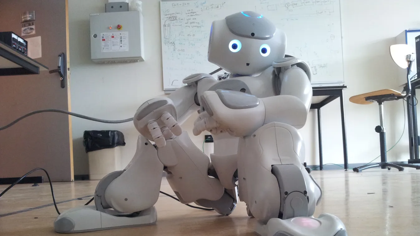 Nao robot, android 