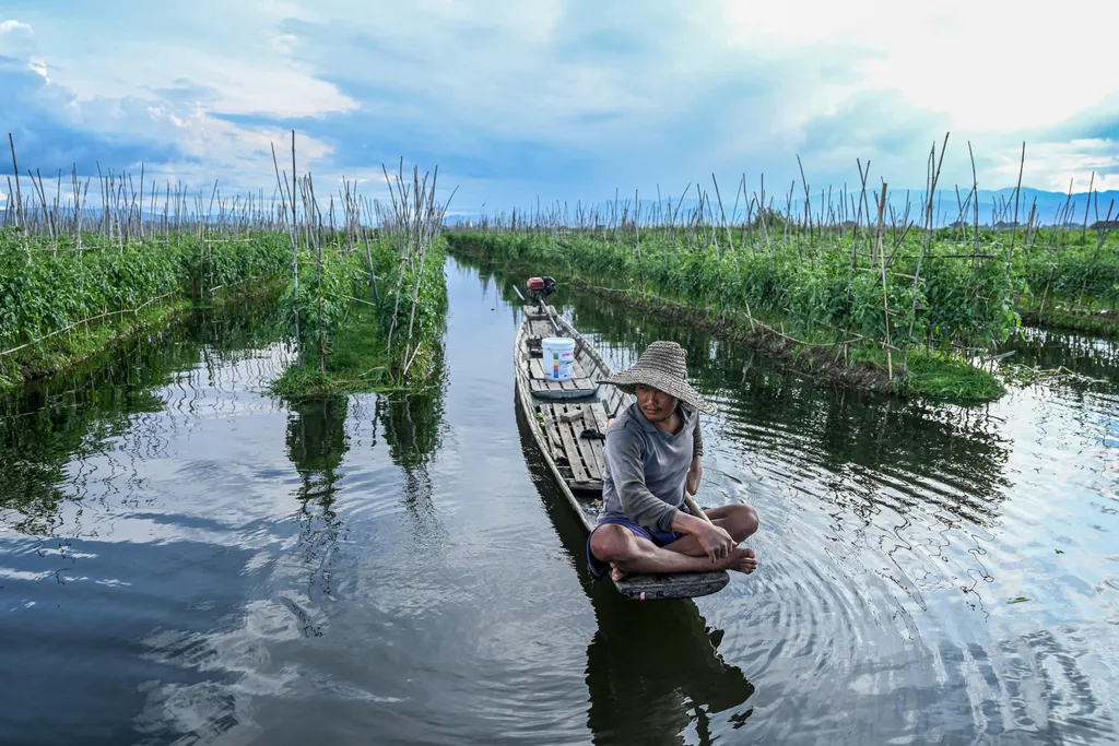 Mianmar, úszó, farm, kert, ültetvény, házak, lebegő, Inle-tó 