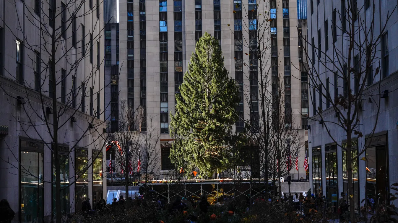 2020 Christmas Tree Delivered To Rockefeller Center For Holiday Season 30 Rock American Flag ARRIVAL Arts Culture and Entertainment CHRISTMAS CHRISTMAS TREE New York City Rockefeller Center Rockefeller Center Christmas Tree Topix Tree USA 