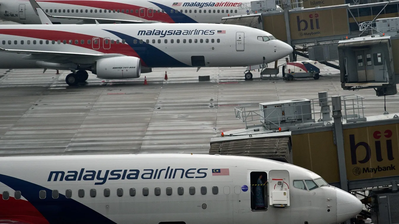 Malaysian Airlines MH370 