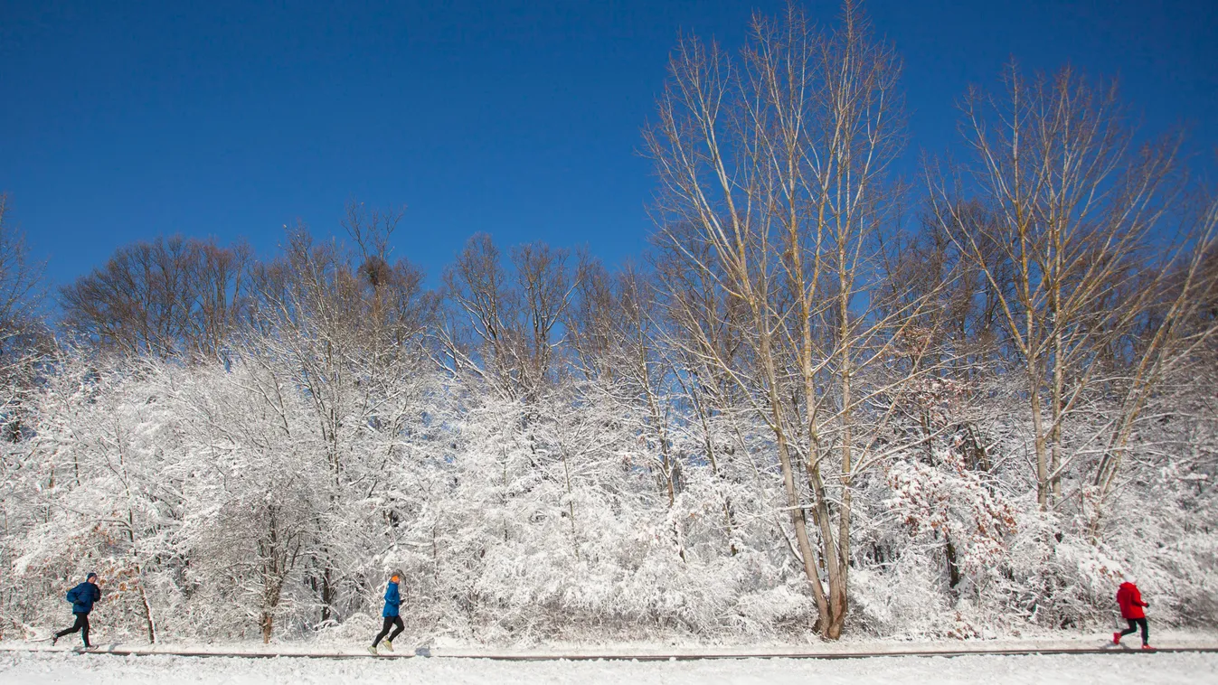 edz ÉVSZAK FOTÓ FOTÓTÉMA fut havas hó IDŐJÁRÁS KÖZLEKEDÉSI LÉTESÍTMÉNY MOZOG SPORT sportol tél út zsáner Nagyrécse, 2014. január 25.
Futók edzenek a hófúvásban a régi 7-es úton Nagyrécse közelében 2014. január 25-én. A térségben reggelre több mint 20 cent