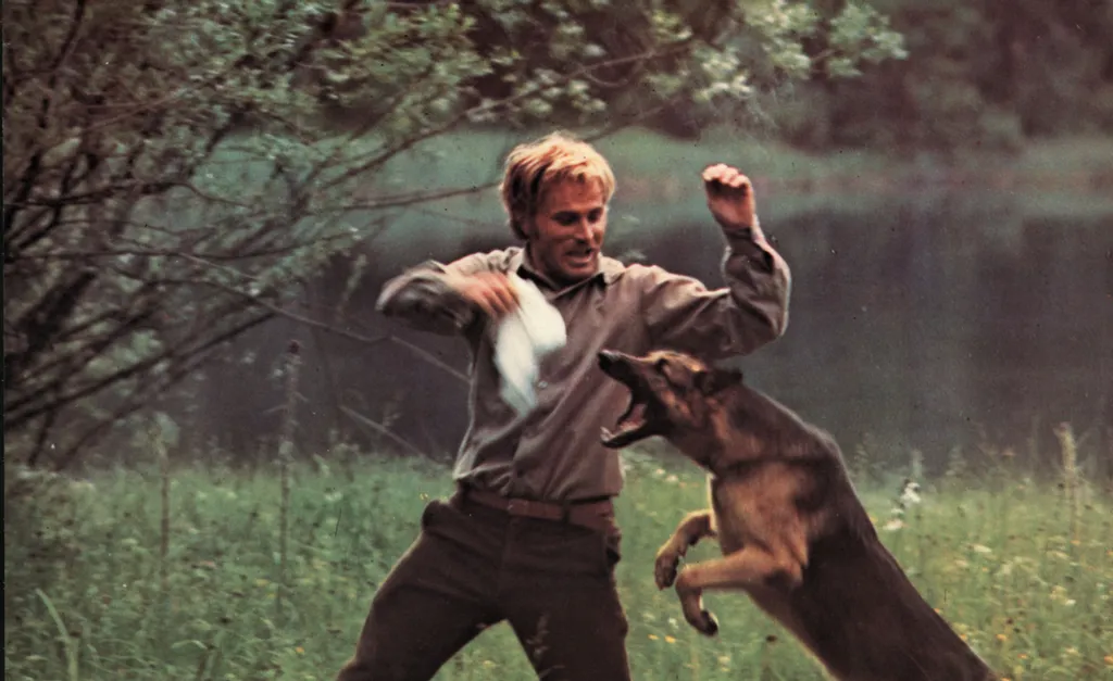 Zanna Bianca (1973) italy Cinema chien berger allemand agression attaque Horizontal DOG ATTACK 