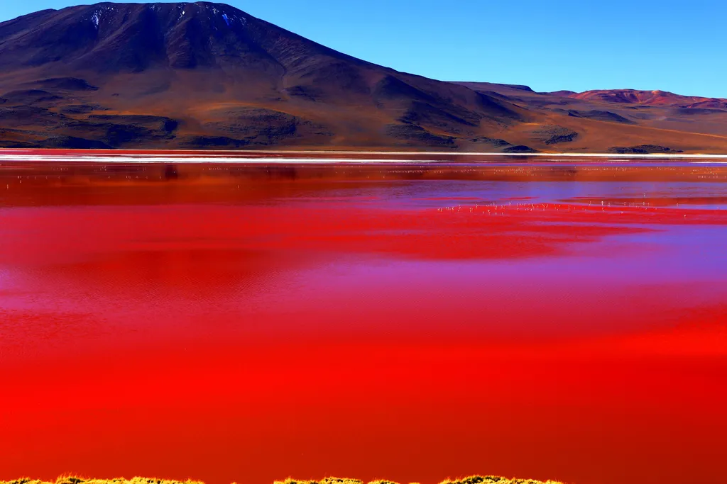 Laguna Colorada Bolívia 