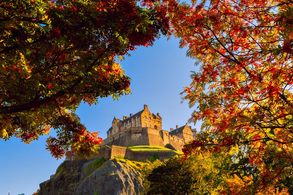 Edinburgh,Castle,Framed,In,Autumn,Trees,Branches,With,Green 